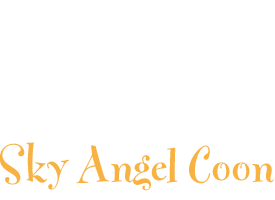 Sky Angel Coon